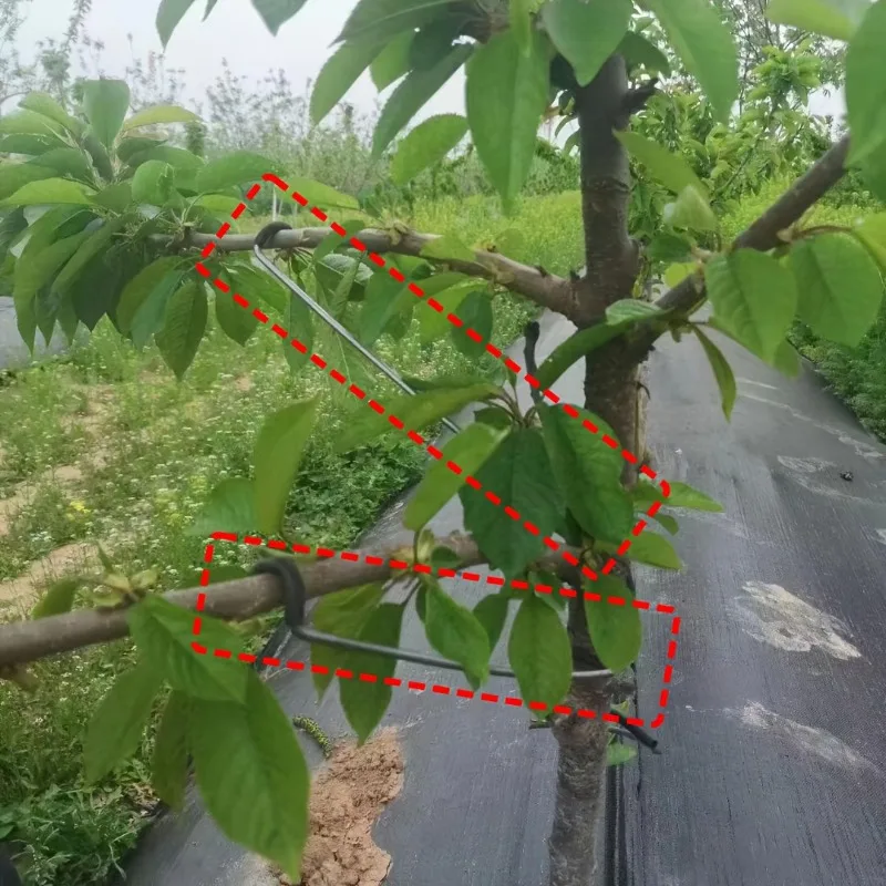 4pcs Fruit Branch Bending Spreader Farm Limb Frame Yard Trees Branches Fixator Fruit Tree Holder For Garden Branch Spreader