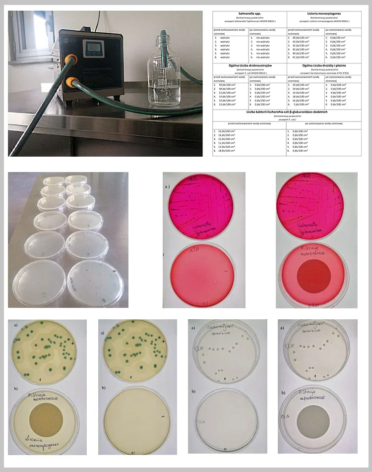 TLF Spa Ozon Wasser Generator Wäsche Ozon Generator Haus Ozon System