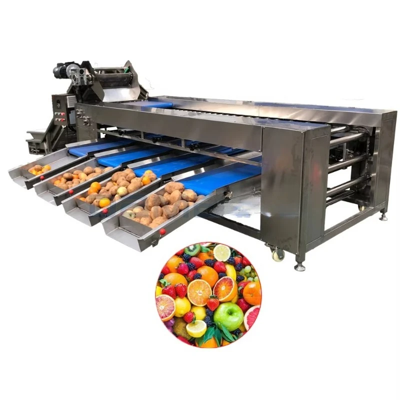 Industrial Sour Sweet Lemon Olive Orange Citrus Avocado Fruit Size Calibrating Roller Type Conveyor Sorting Machine Customized