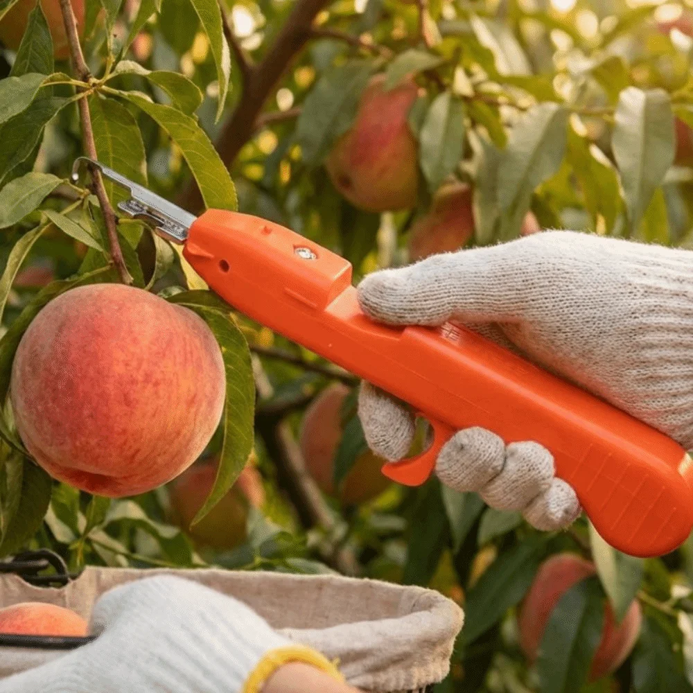 Handheld Berry Picking Tool Ergonomic Heavy-Duty Fruit Harvesting Shears Non-Slip Handle Anti-Scratch Garden Fruit Trimmer