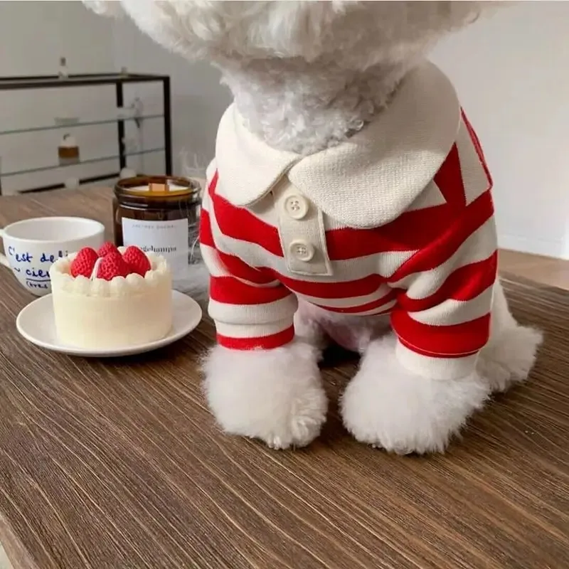 Striped Summer Dog Polo 2