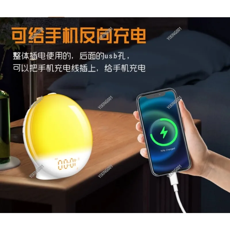 Sunrise Wake Up Light Alarm Clock - Night Light FM Radio with Natural Sounds