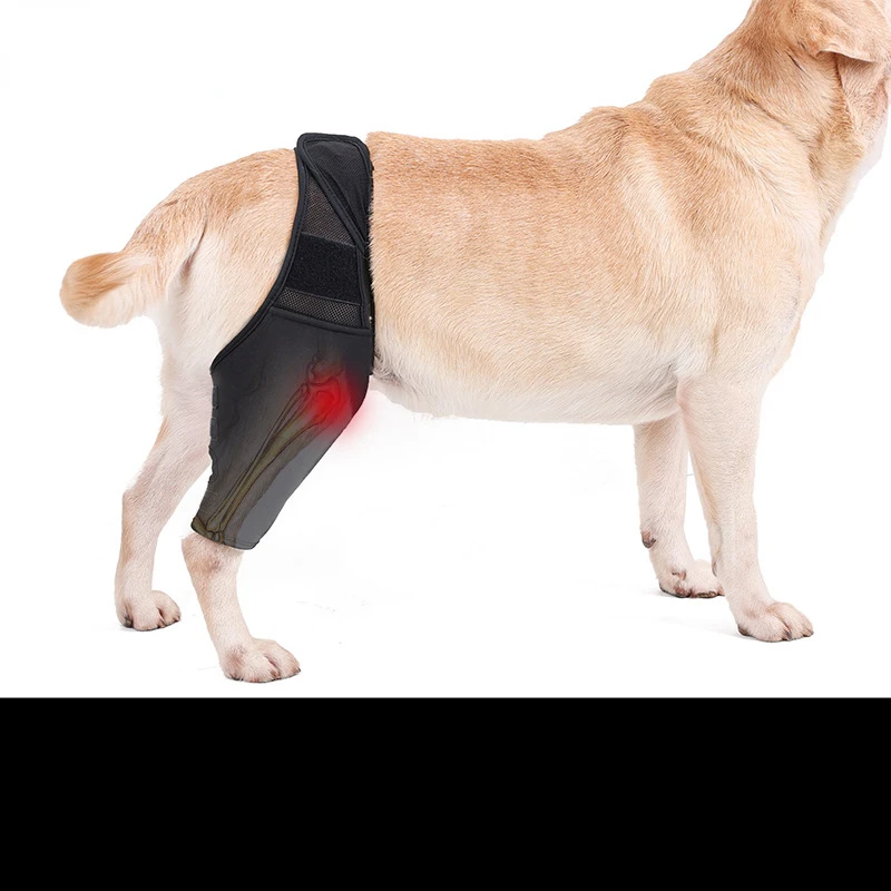 Dog Elbow Protector Joint Knee Pad Leg Injury Protection Post-operative Recovery Elbow Brace Fixed Leg Straps Pet Supplies