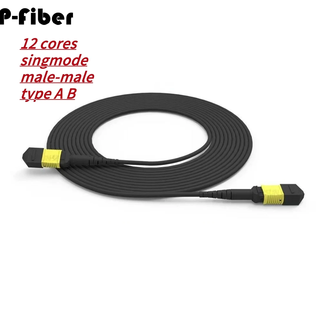 

MPO armored fiber jumper 12 cores male 5m 10m 20m3m low loss type B A singlemode 8 cores MTP MPO optical fibre patchcord 8C12C