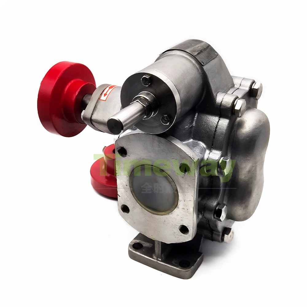 RK135 Hydraulic Gear Pump RK135 SS304 Fuel Gear Pump Oil Transfer Pump Gear Oil Pump