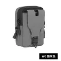 Wolf Gray