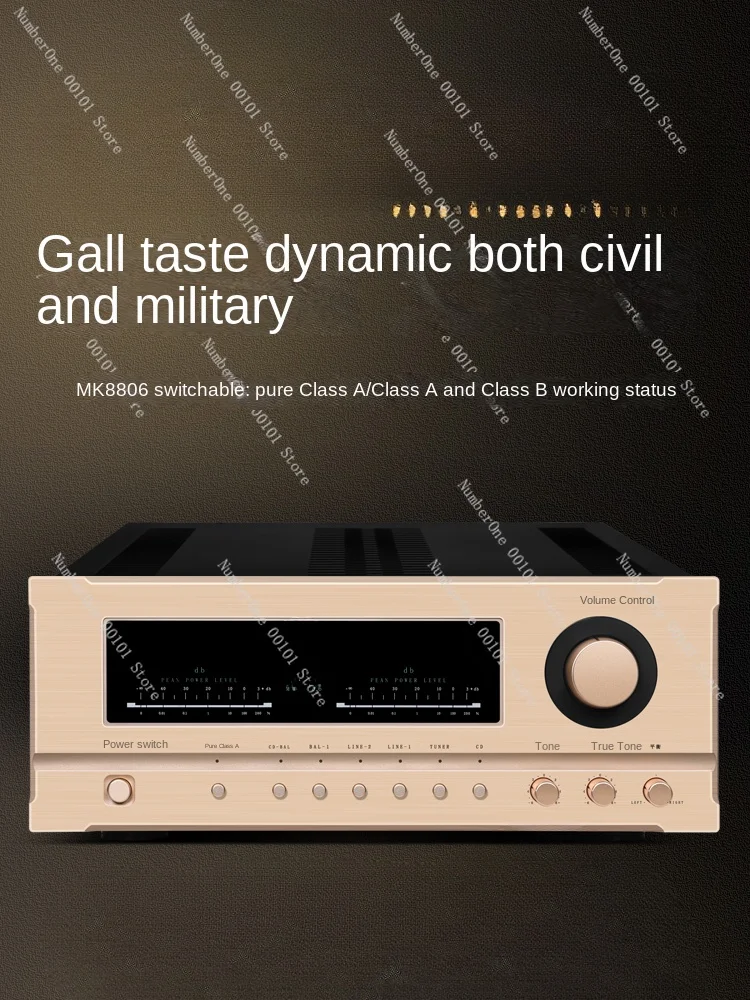 Home HiFi High Power Amplifier Audiophile Grade Pure Class A Professional Audio Power Amplifier