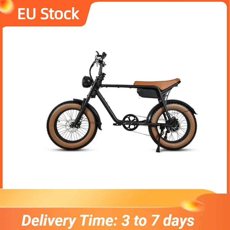 Europa Stock Braun Schwarz Retro Elektrofahrrad 750W 48V 20x4,0 in Fat Tire Elektrofahrrad für