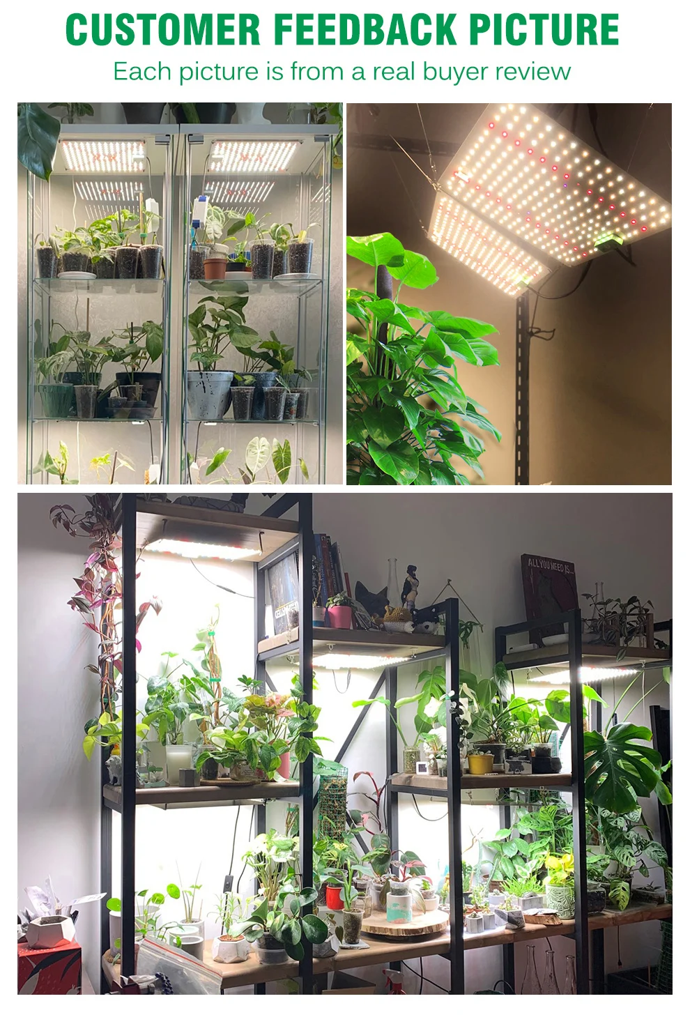 120W 150W Vollspektrum Dimmbares LED-Wachstumslicht LM281B Chip Quantenlampe Pflanzenlampe mit VEG- und BLOOM-Arbeitsmodus – Detail 7