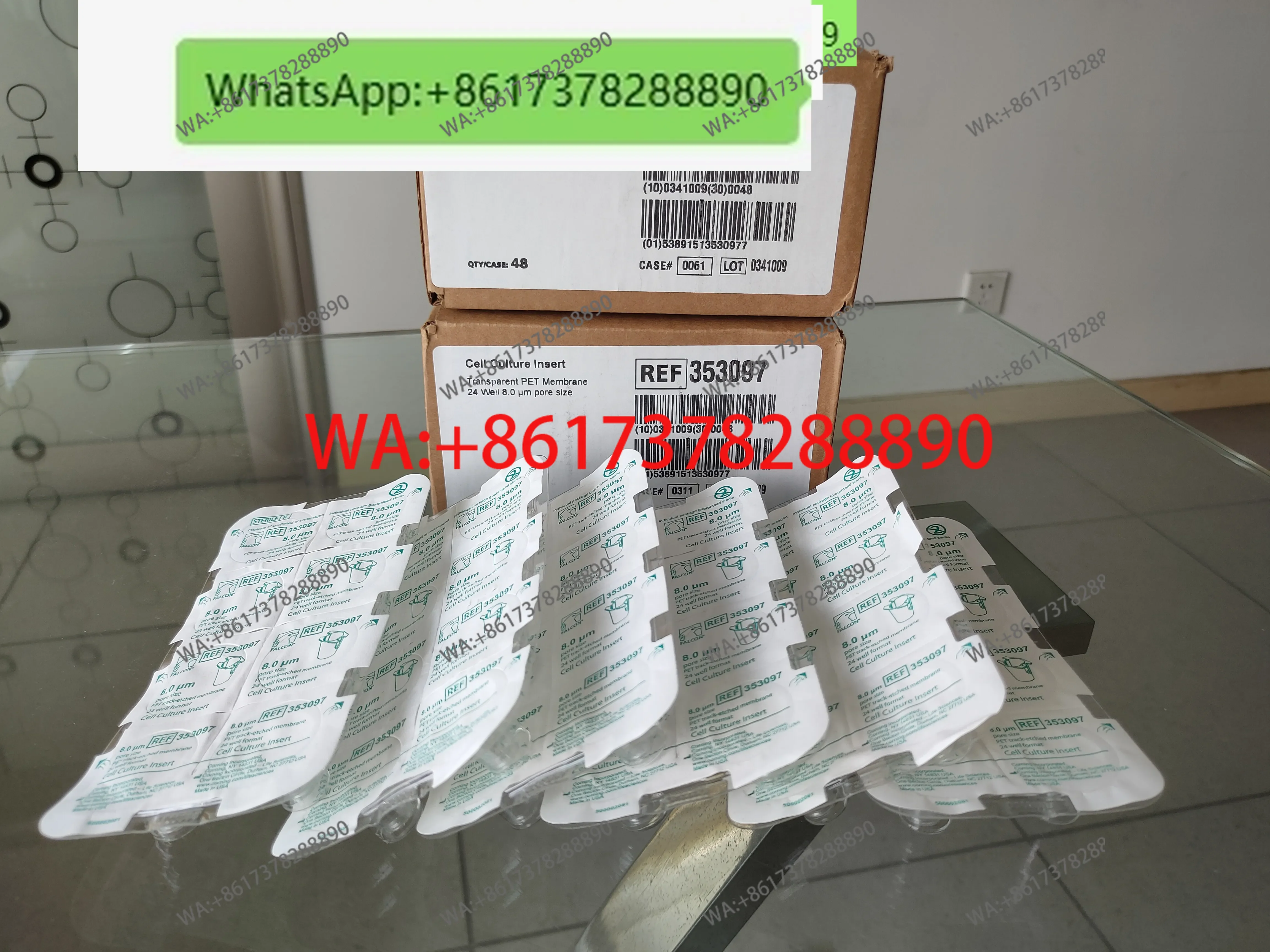 BD Falcon 353097 Cell Culture Chamber 24-well Plate Translucent PET Membrane 8.0um Pore Size