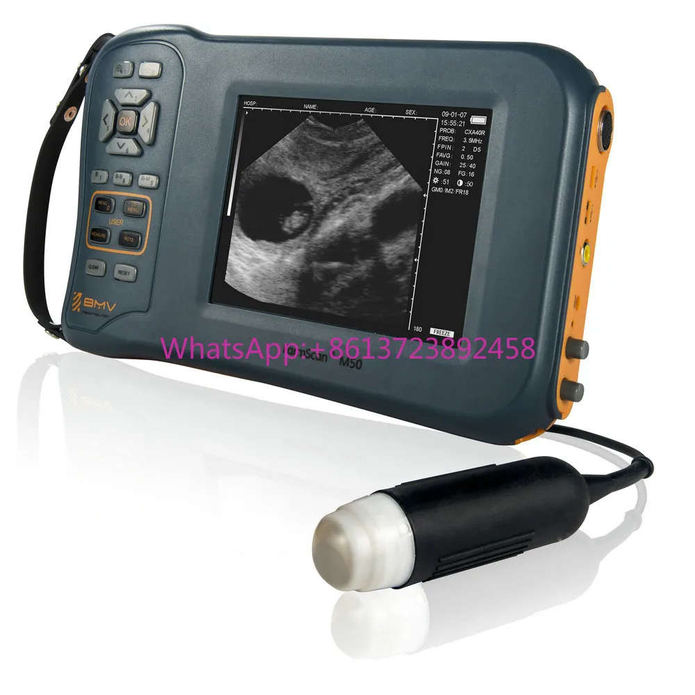 Pig Sheep Goat Pregnancy Check Handheld Ultrasound System Veterinary Portable Ultrasound Machine Price Farm Use Ultrasound