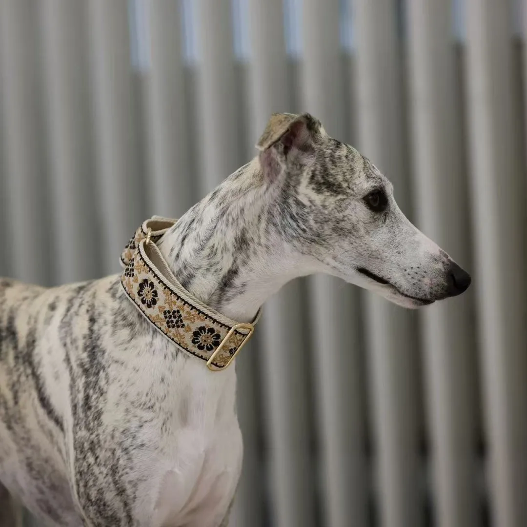 Martingale Hundehalsband für Hühner / Windhundhalsband / Iggy-Halsband / Lurcher-Halsband / Whippet-Halsband / Galgo-Halsband – Detail 11