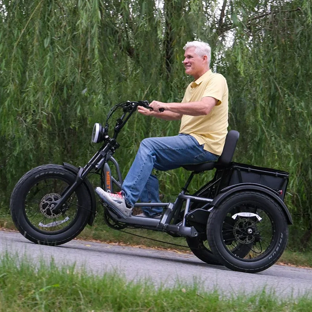 High Power Long Range Dual Motor Dual Battery 3 Wheel E Cargo Trike Adults Sand and Snow Fat Tire Electric Delivery Tricycle
