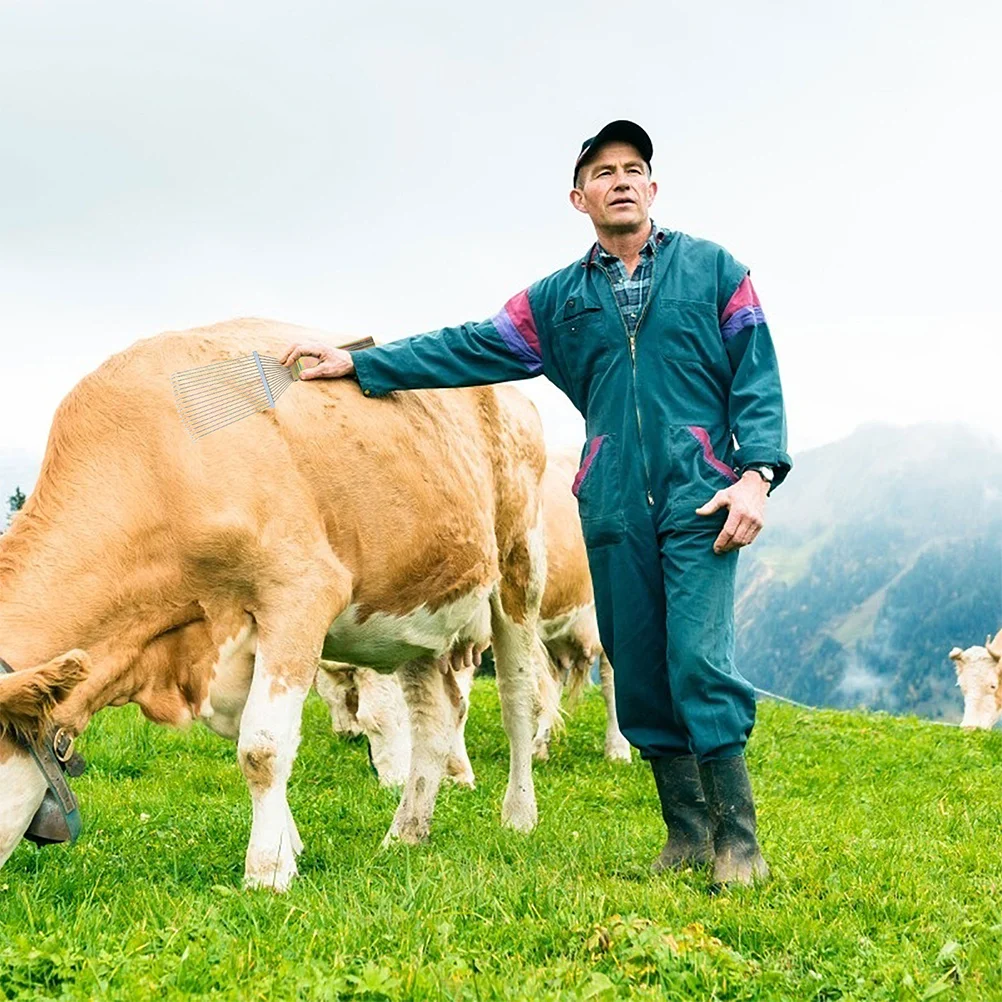 فرشاة شعر الحصان غرامة طحن الحديد الأسنان سطح أملس للماشية الاستمالة الماشية حمار الحصان أدوات تنظيف الجسم #1