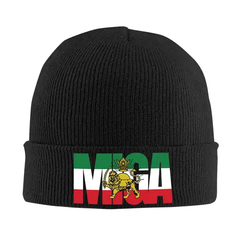 Chapeau en tricot avec drapeau royal iranien, lion et soleil, casquettes tendance, bonnets pour femmes et hommes, bonnets thermiques élastiques pour l'automne et l'hiver