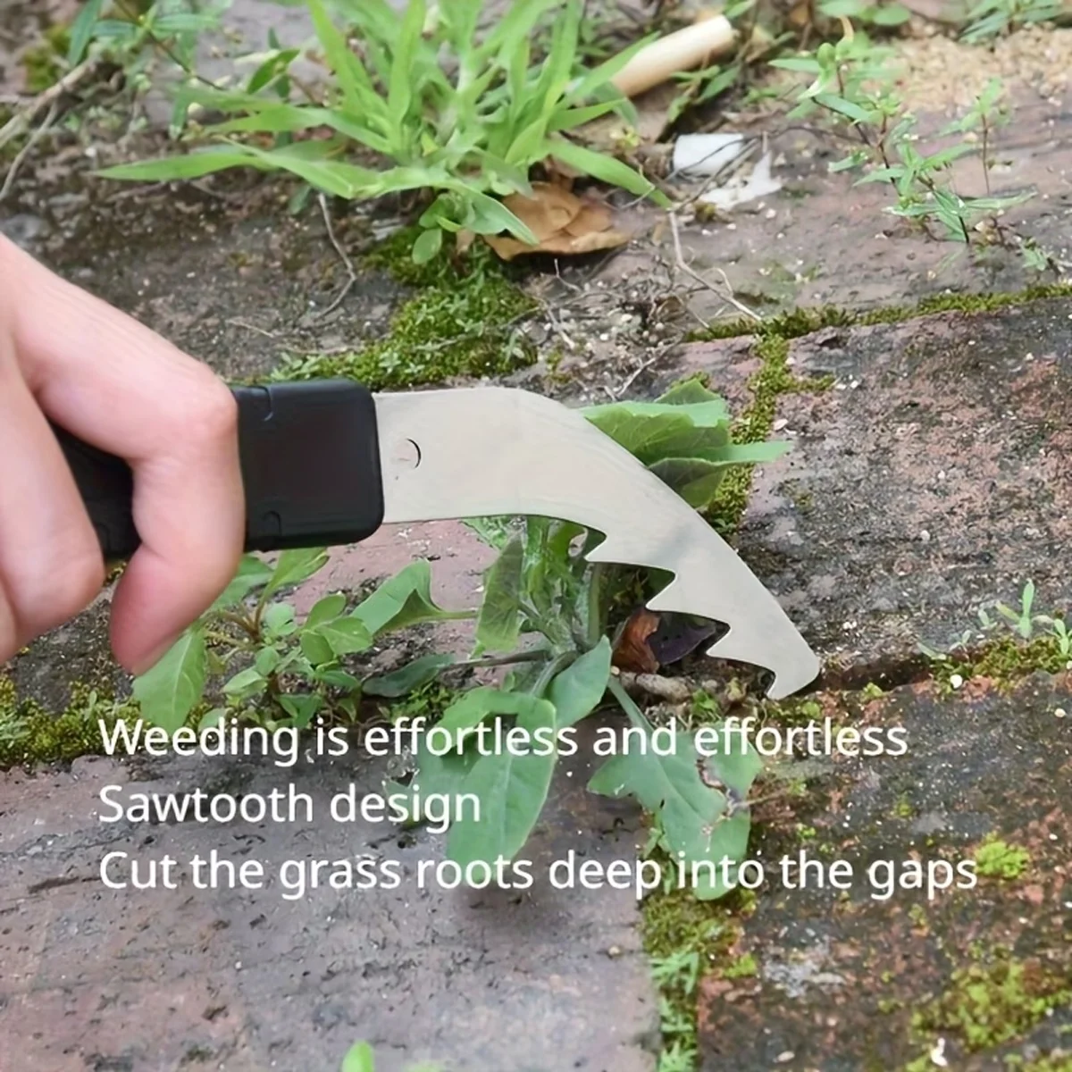 3Pcs Handheld Weeding Sickle Stainless Steel Weed Root Cutter Anti-slip PP Handle Garden Crevice Grass Remover for Yard