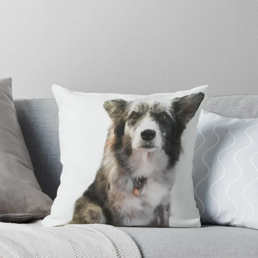 Blue Merle Border Collie Throw Pillow luxury sofa pillows Christmas Pillow pillow