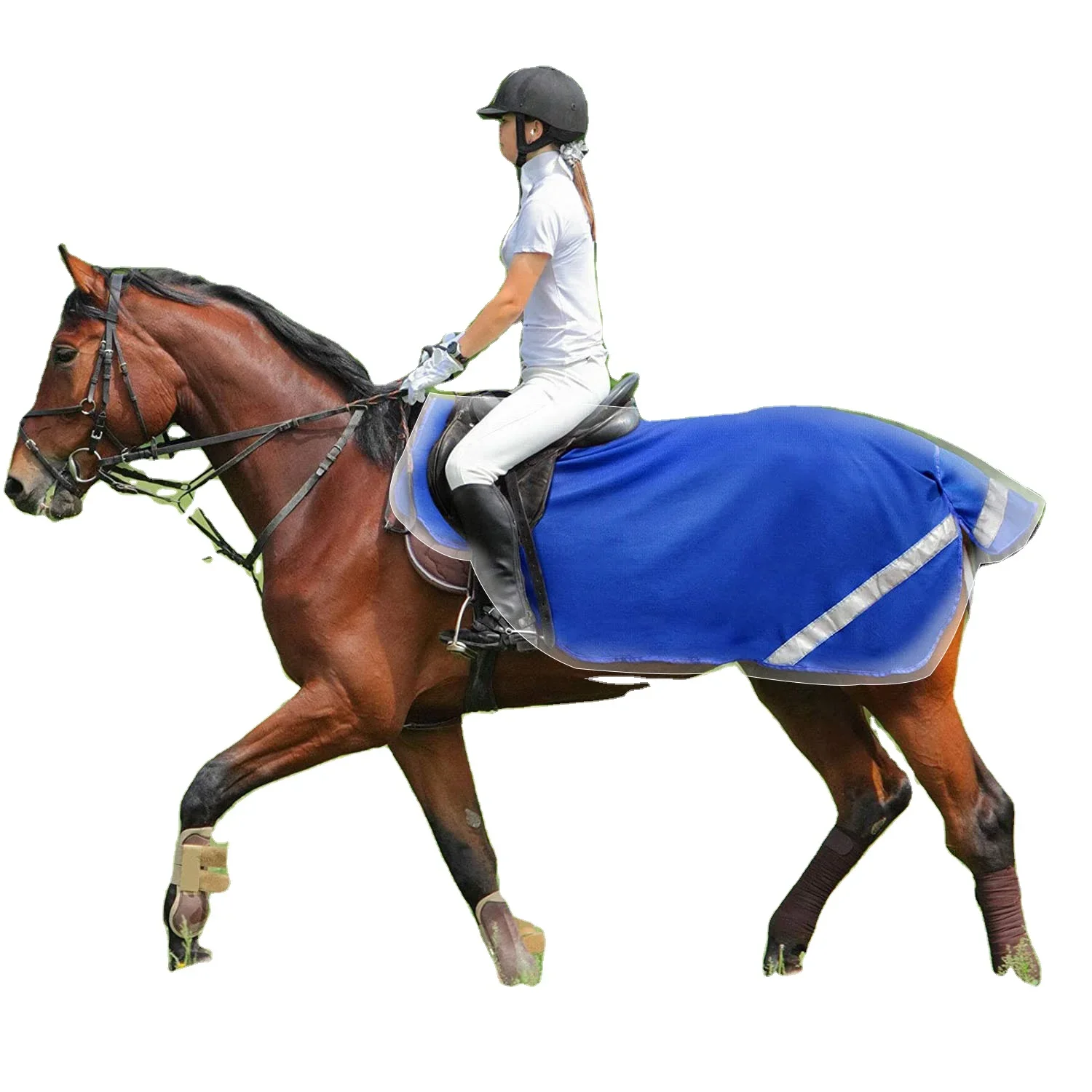 Tapis pour cheval, équipement stable, vente en gros