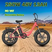 Electric Bicycle ENGWE L20 250W 48V 13AH Motor Battery 20*4.0inch Fat Tire Ebike 140km Mileage Adult Mountain City Electric Bike