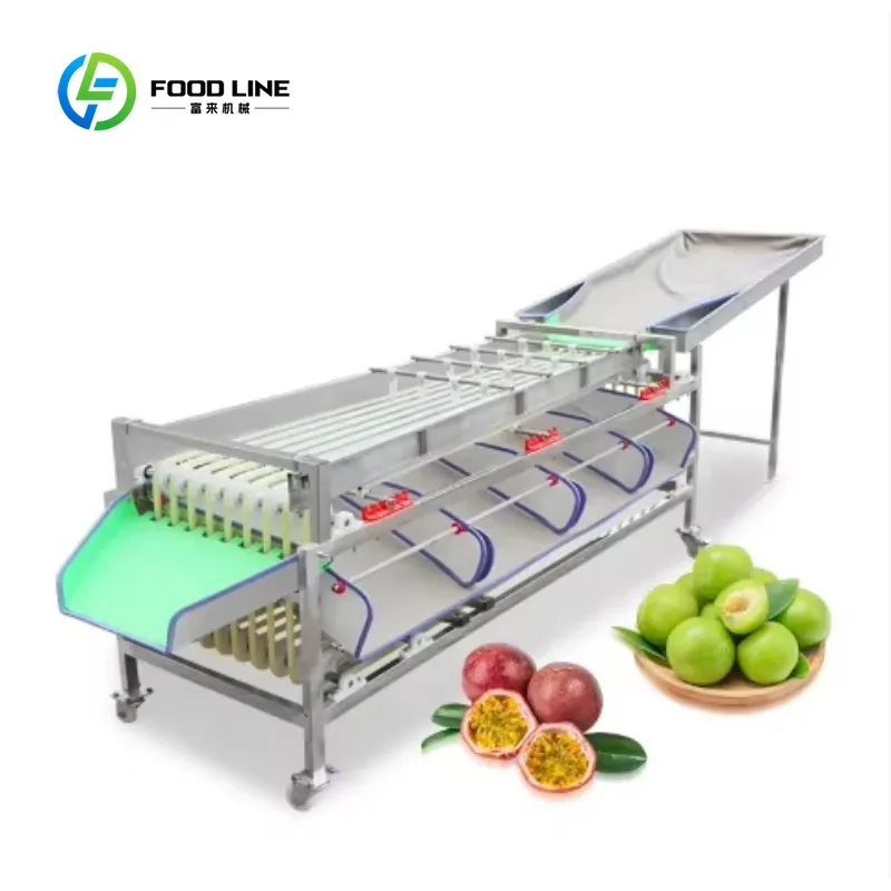 Customized  Electronic Tomato Potato Onion Mango Apple Orange Size Optical Sorting and Grading Machine for Fruit Vegetable