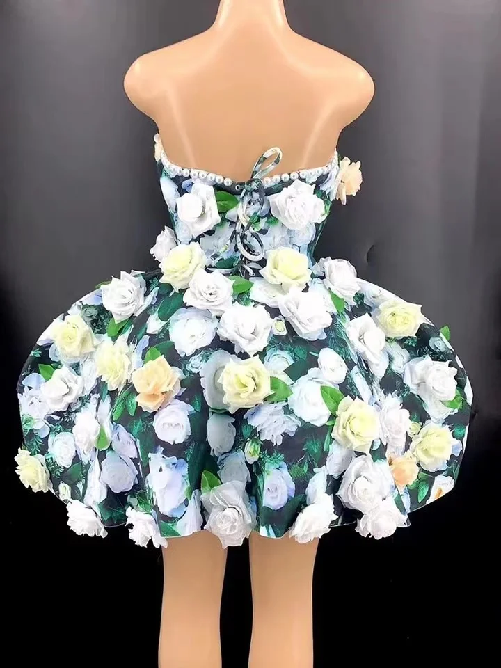 Rose Bubble Dress Gogo Dancer Stage Wear Nightclub Top Singer Flower Applique Dress Slip Party Outifts Scene Clothes Costume