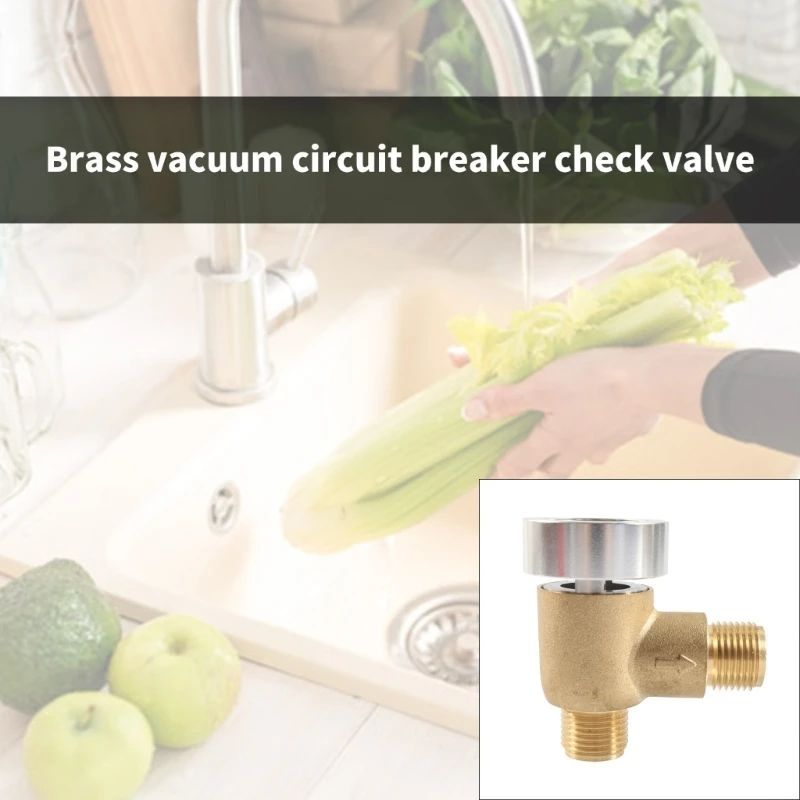 Brass Vacuum Breaker Check Valves for Campers Trailer Black Tanks Flush System