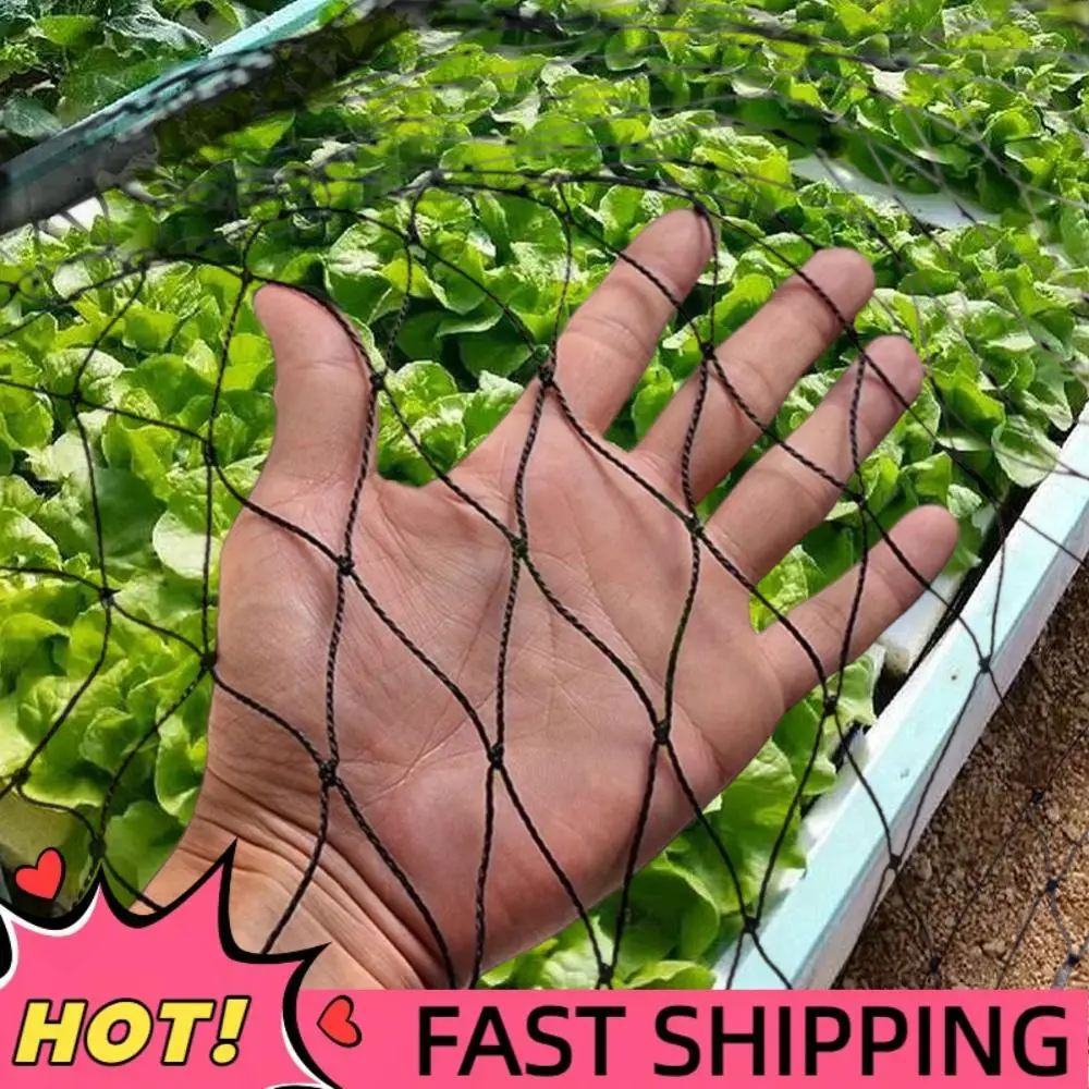 

Нейлоновая сетка для птиц, сетка для ястреба, защитная садовая сетка для птиц, 25 х 50 футов, сетка для фруктовых деревьев для фруктовых деревьев, растений