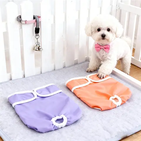 12 best sales बॉक्सर कुत्ता - №3