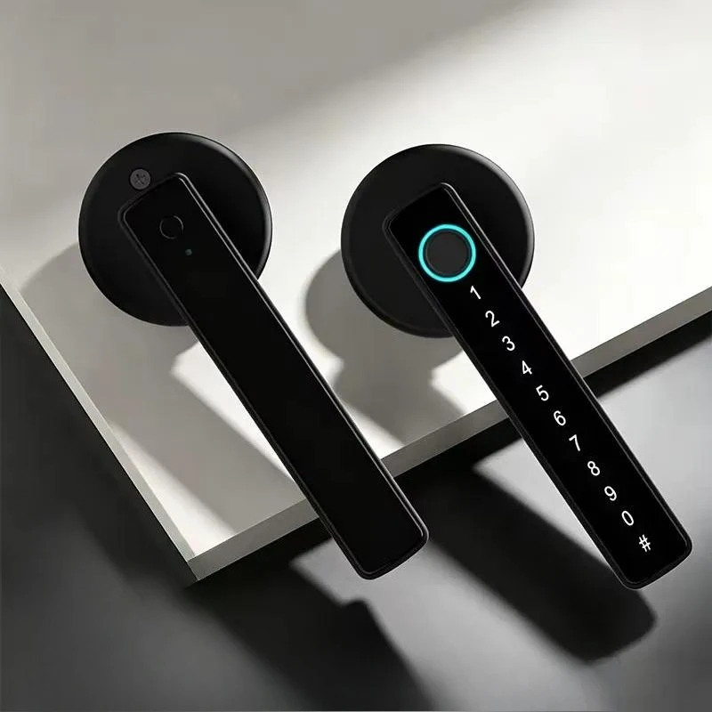 Remote Control Smart Door Handle Keyless Entry Fingerprint Lock Password Electronic Smart Door Lock