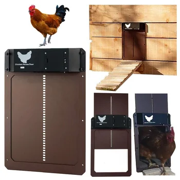 Automatic Chicken Coop Door 1