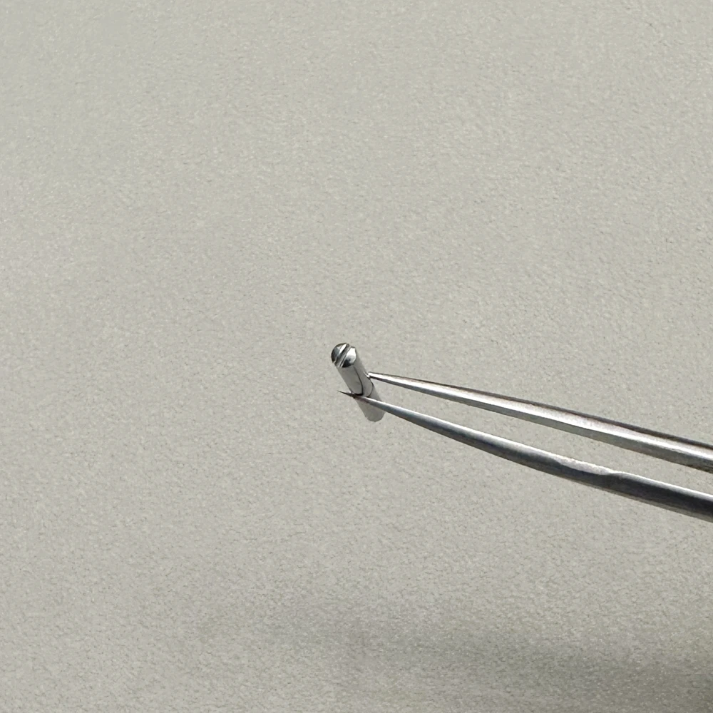 Сменные винты с пряжкой Boppa, болтовой стержень 18 мм, пряжка из нержавеющей стали для фитингов с винтовой пряжкой-бабочкой Breguet