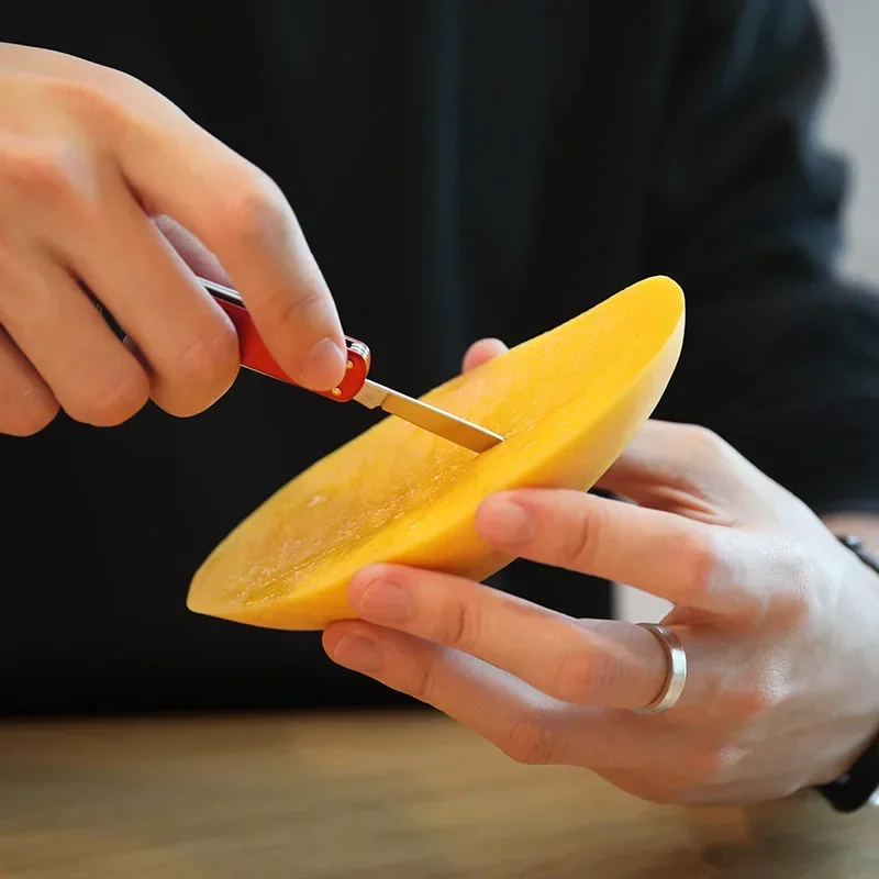 NexTool Multiutensile Mini Coltello Forbici Pieghevoli Cacciavite Coltello Tascabile Coltello Disimballaggio Portatile Strumenti di Riparazione Multiuso