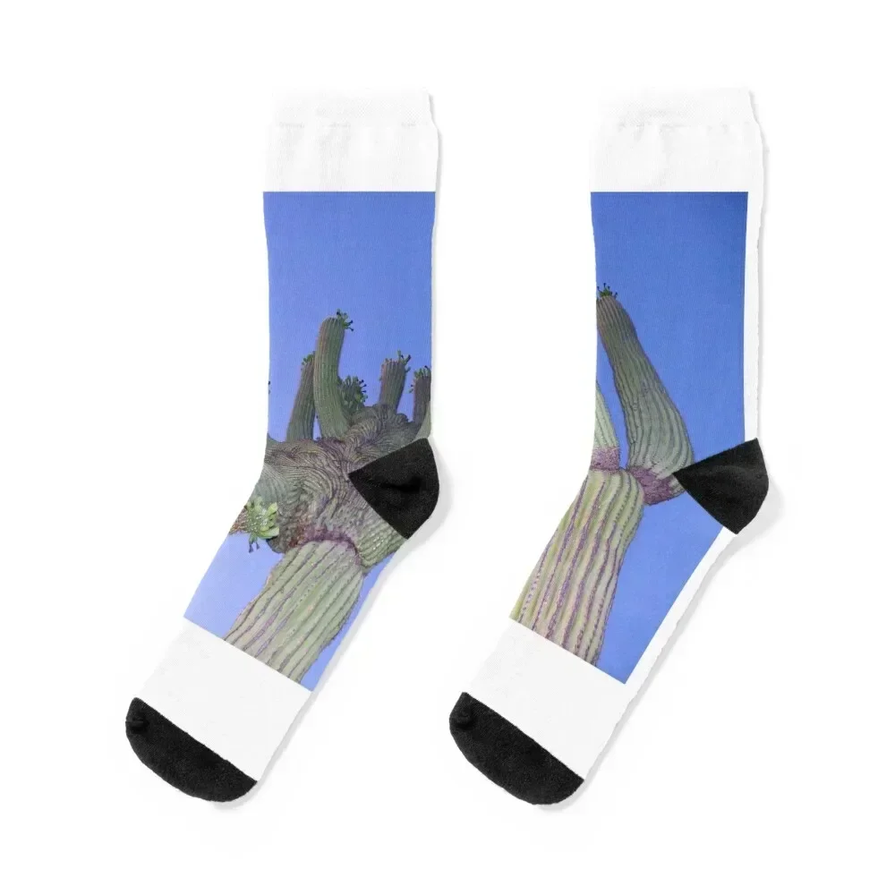 

Wonderful Saguaro Cacti In The Sonoran Desert Socks cute christmass gift Socks Ladies Men's