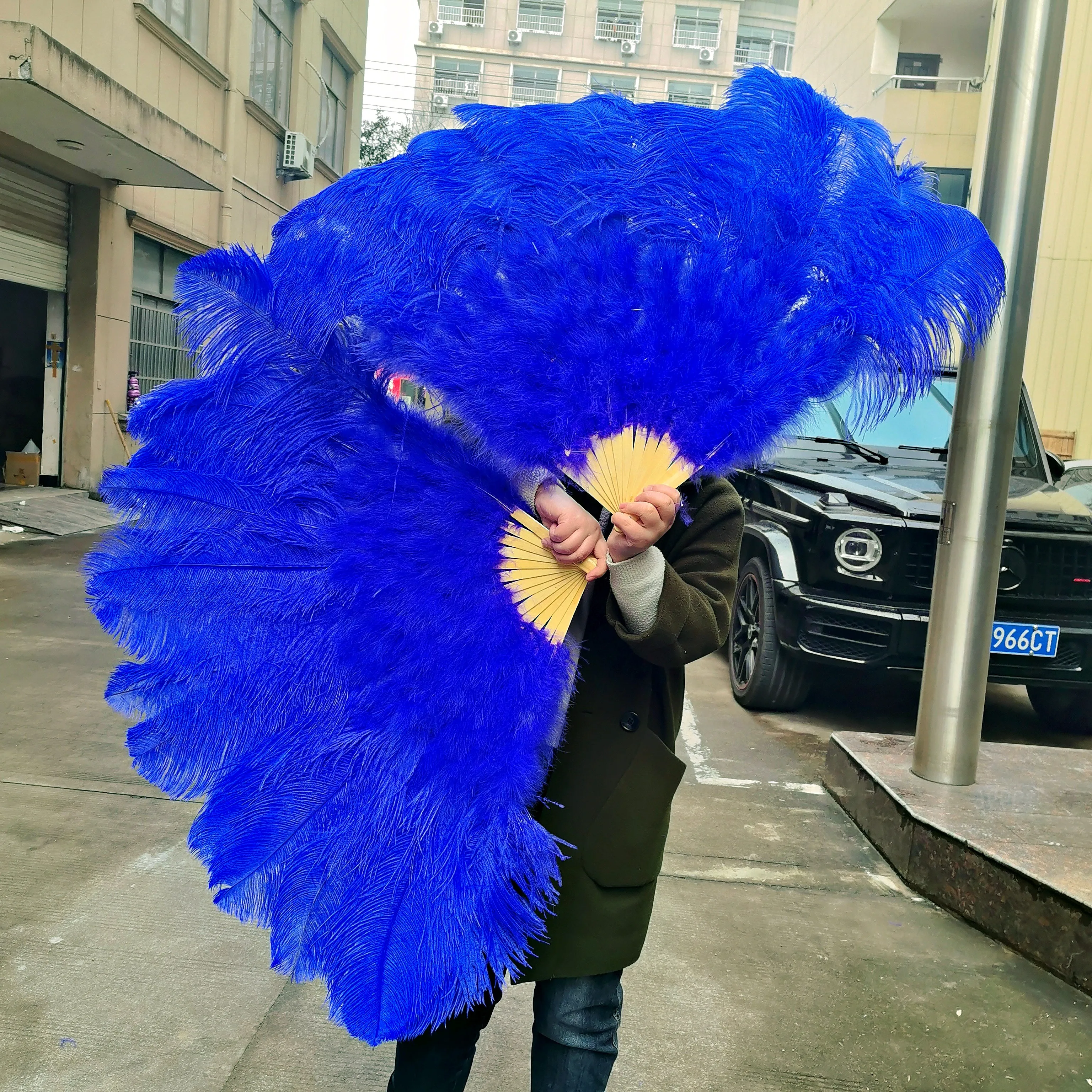 10PC Natural Ostrich Feathers Fans Handheld Wholesale Customizable for Wedding Carnival Belly Dance Magic Show Stage Props Decor