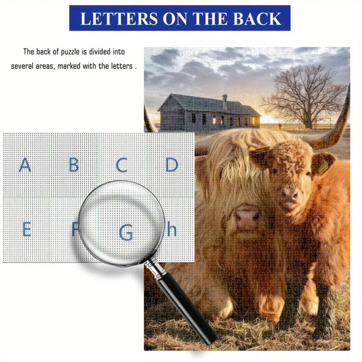 Een 1,000 stuks puzzels Halloween decoratieve hooglandkoepuzzel voor woonkamer of slaapkamer Duurzaam kartonmateriaal Levendig C