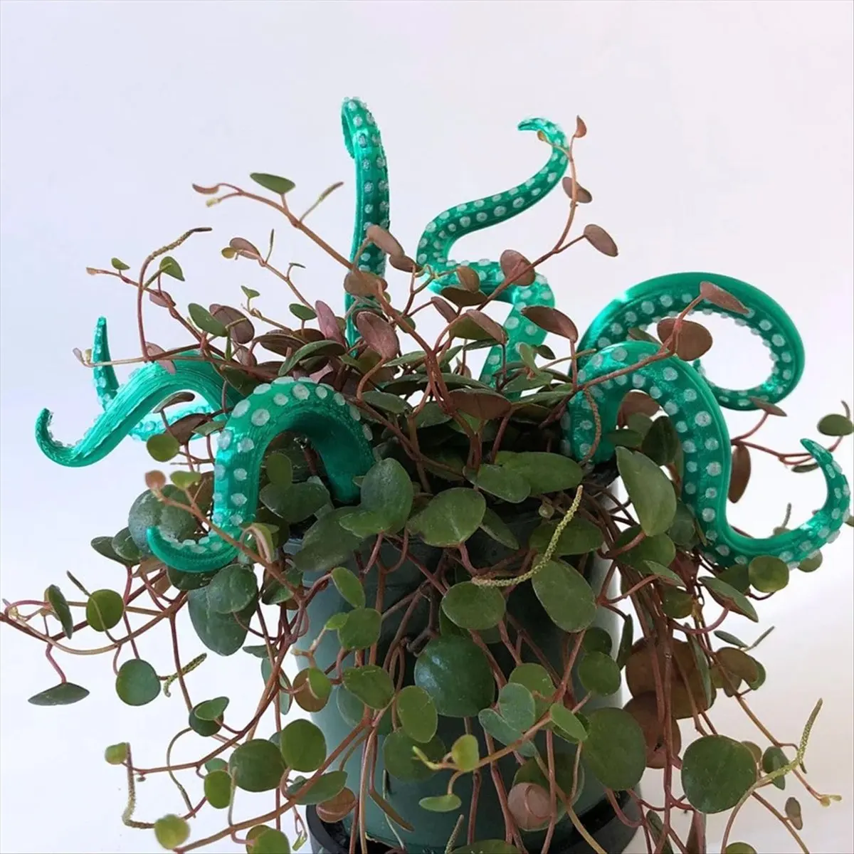 2026 Trend 7PCS SeaMonster Tentacles Tentacle Plant Stake Garden Stakes for Plant Decor Tentacle Stakes B