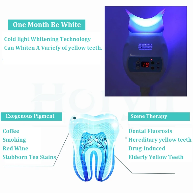 Dentes LED branqueamento máquina, Luz fria dental, Lâmpada de branqueamento dos dentes