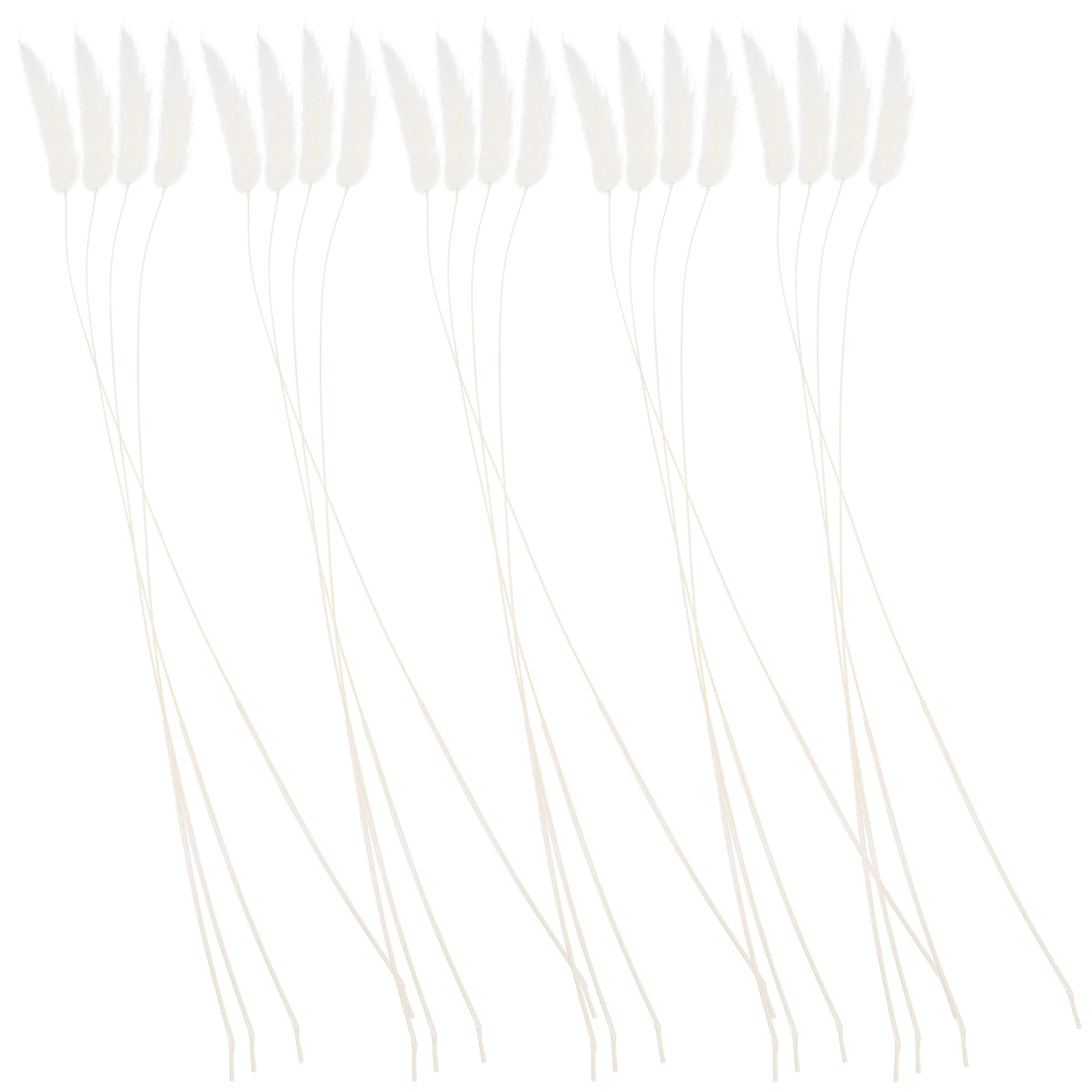 

Bunny Tail Grass Rabbit Pastoral Home Decor Flower Wall Natrual for Photo Plants Natural Arrangement Cake