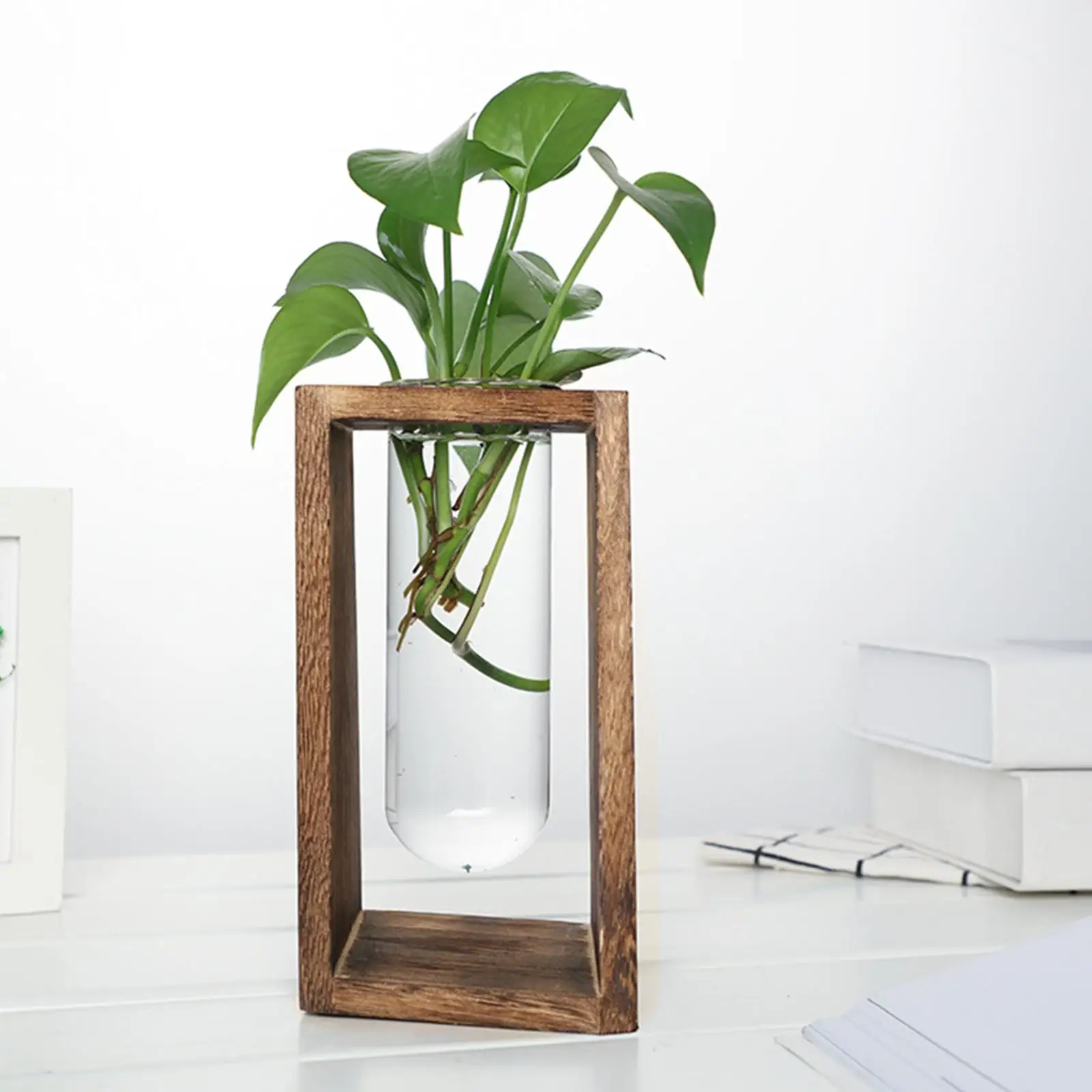 Glass Propagation Tubes Holder Wood Modern Bud Vase Transparent Flower Vase for Bedroom Stylish Decoration