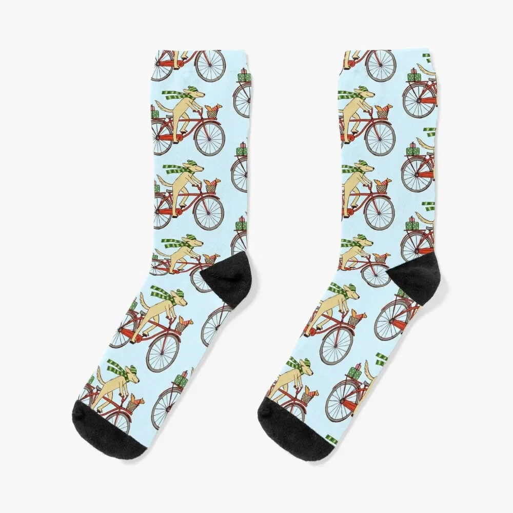 Dog Riding Bicycle with Squirrel Winter Holiday Socks set floor Climbing Socks Women Men's