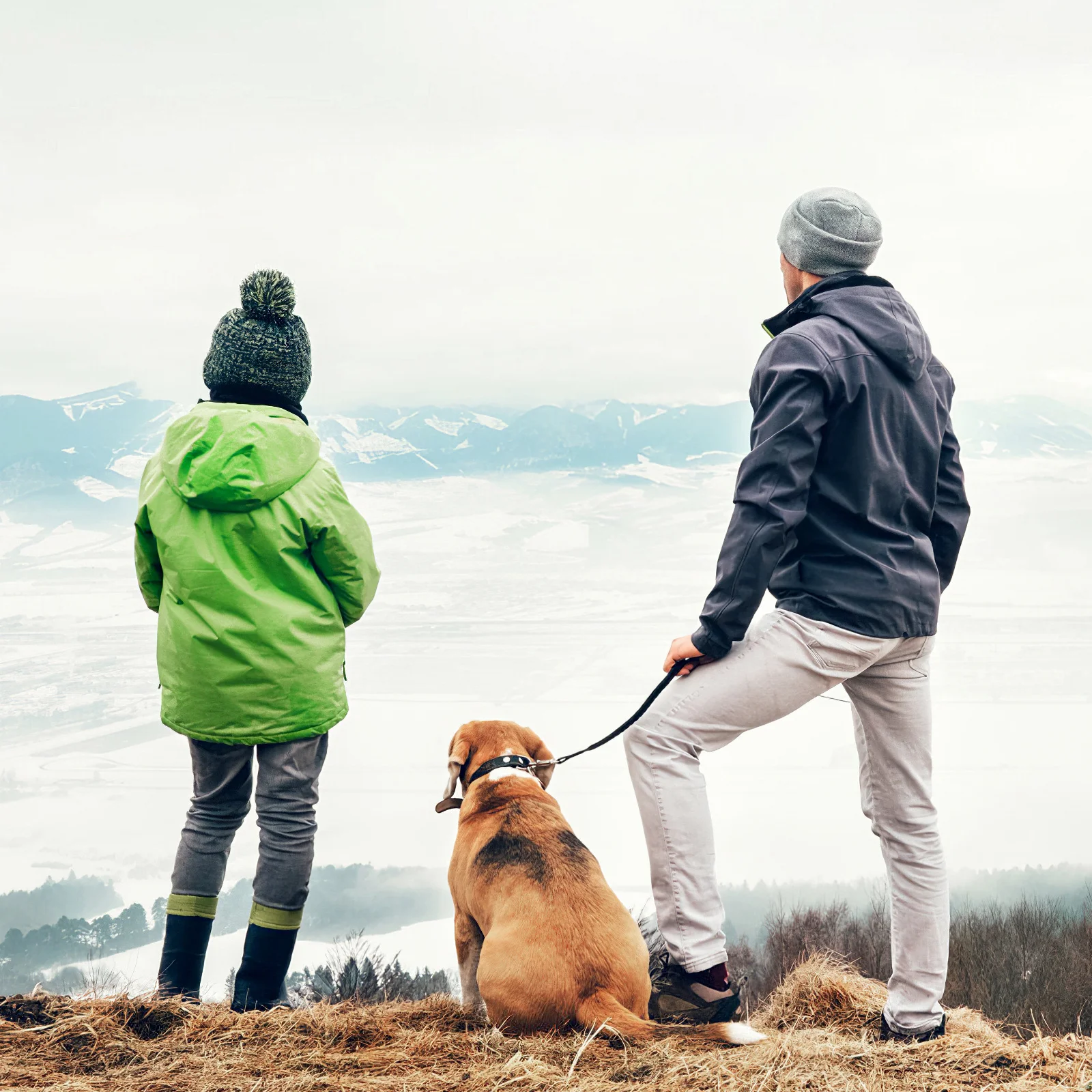 

Reflective Black Nylon Dog Extension Leash Heavy Duty Durable Elastic Ideal for Daily Walking Training Small Medium Dogs