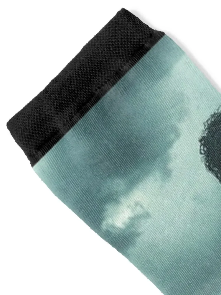 ملحمة الموسيقية Get In the Water Socks الحرارية رجل شتوي قصير شير لطيف الجوارب رجل إمرأة #2