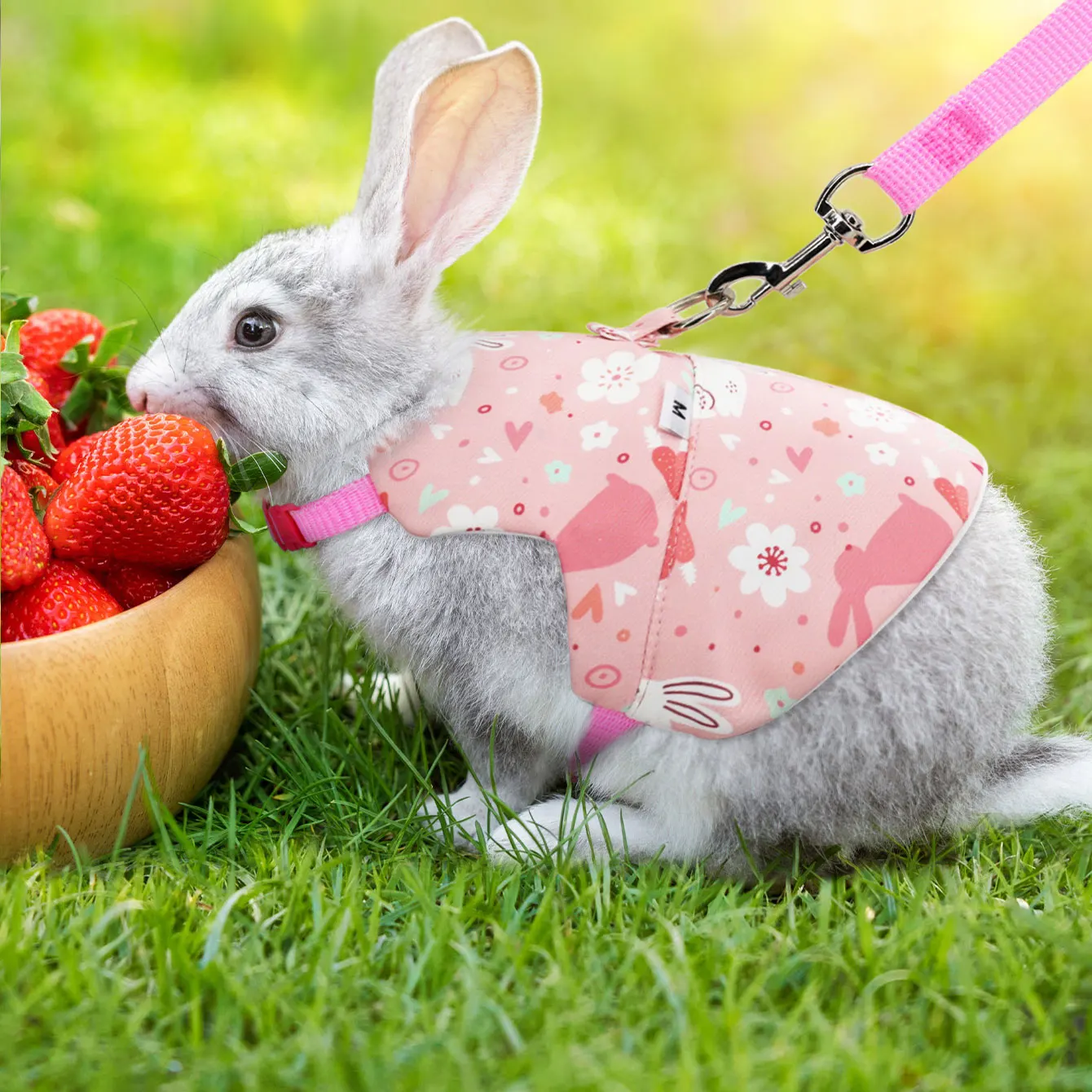 1PC  Rabbit Harness And Leash Set For Rabbits, Guinea Pigs, Adjustable Buckle For Small Pets Walking