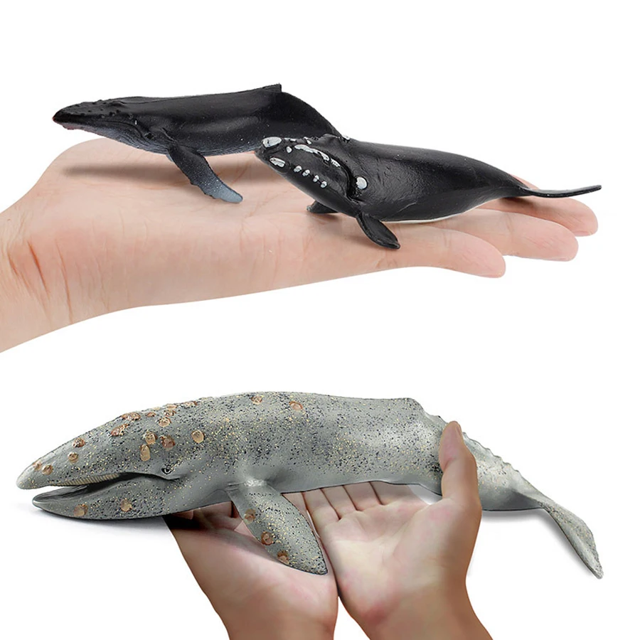 Realistic Humpback Whale Sperm Whale Narwhal Killer Whale Sea Life Animals Model Action Figures Education Decoration Toys view 6