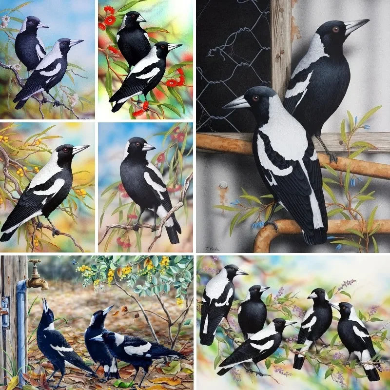 5D Diy Diamond Painting Bird Australian Magpie Square Diamond Art Round Diamond Mosaic Full Drill Cross Stitch Home Decoration