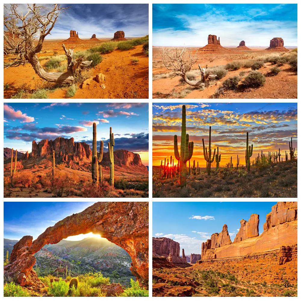 

Western Desert Cactus Backdrop Mountain Desert Shrub Dusk Hillside Natural Scenery Portrait Photography Background Photo Studio