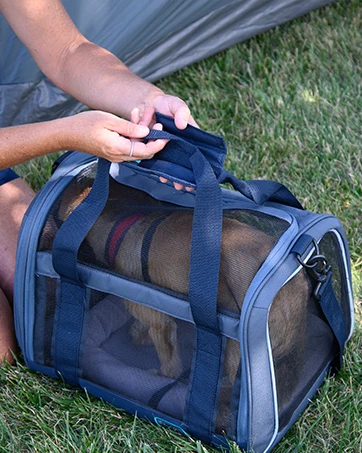 soft dog carrier