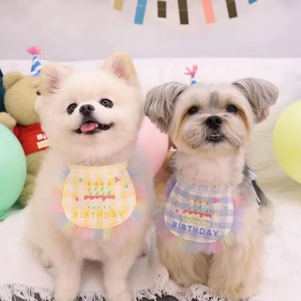 レターグラフィック誕生日刺繍犬よだれかけカラーレース調節可能な猫ハッピーバースデー帽子快適な着用チェック柄