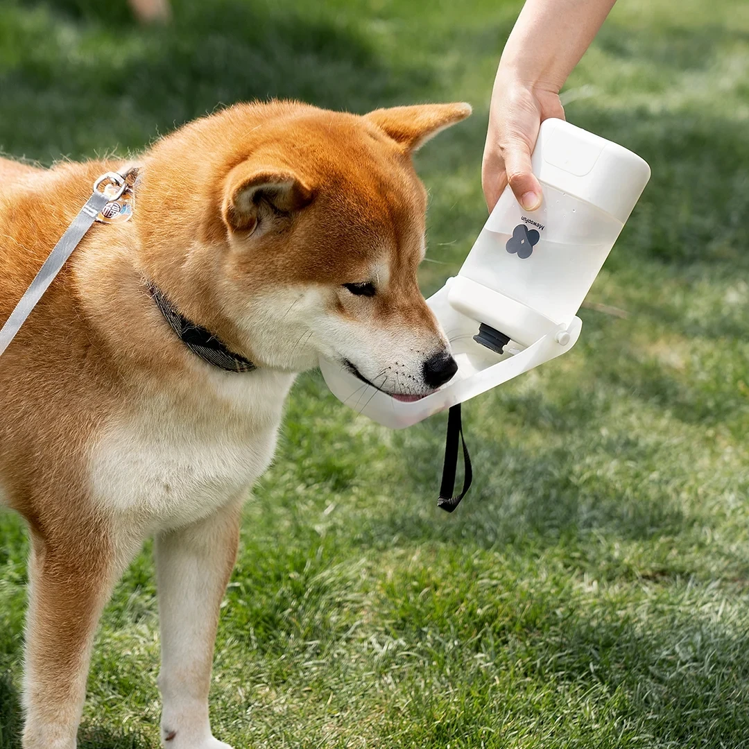 Mewoofun-Bouteille d\'eau portable sans goût pour animaux de compagnie et chats, distributeur d\'eau anti-vert pour petit animal de compagnie