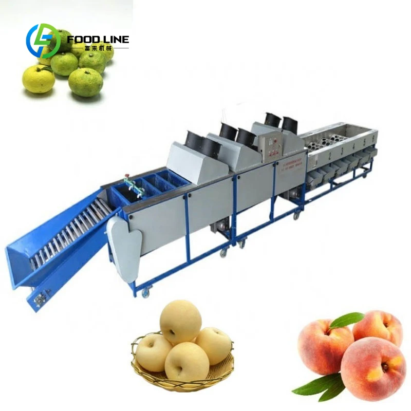 Professional Apple Avocado Pear Tomato Potato Sorter Weight Machine Industrial Vegetable Fruit Weight Sorting Grading Machine
